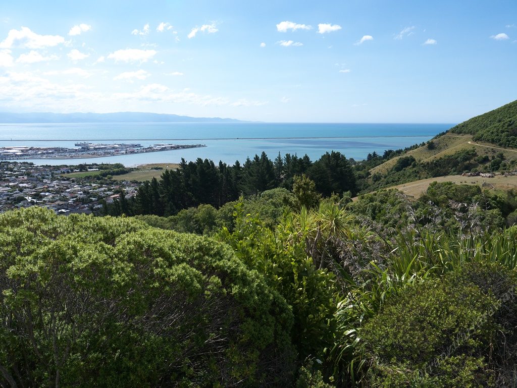 center of New Zealand