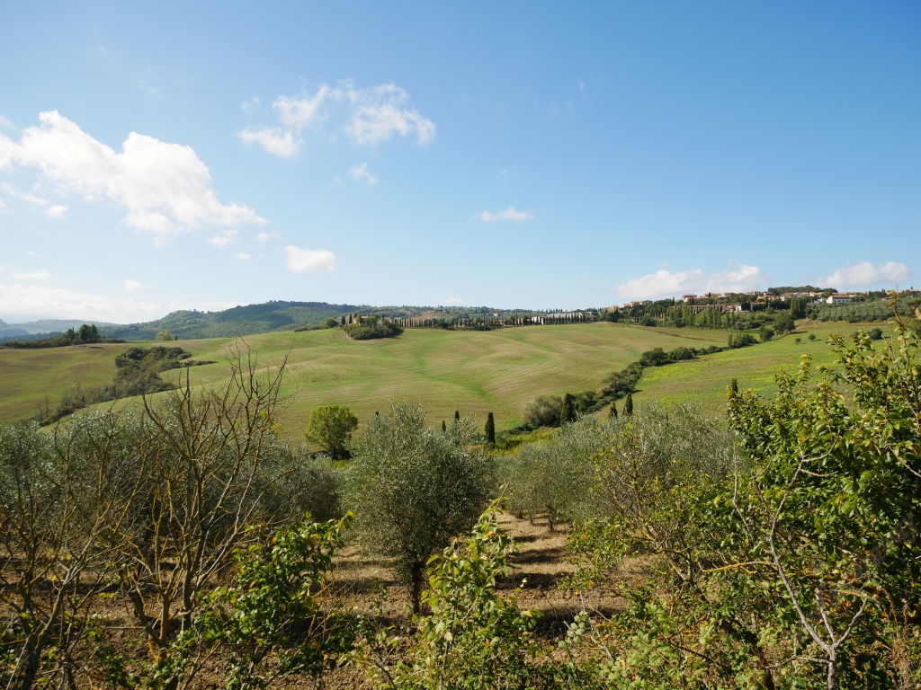 Wonderful Tuscany