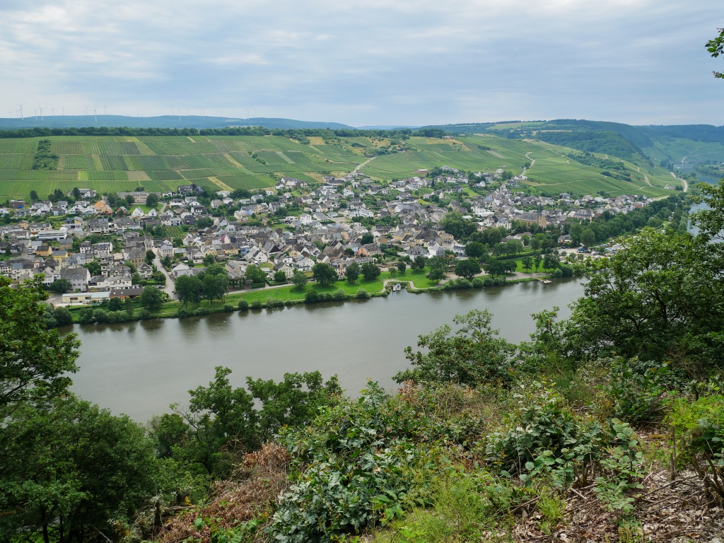 Castles and wine along the river Mosel