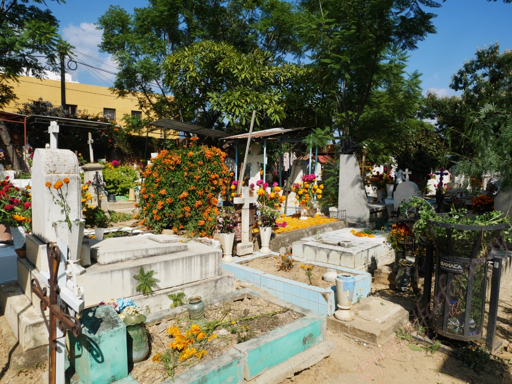 dia de los muertos in Oaxaca
