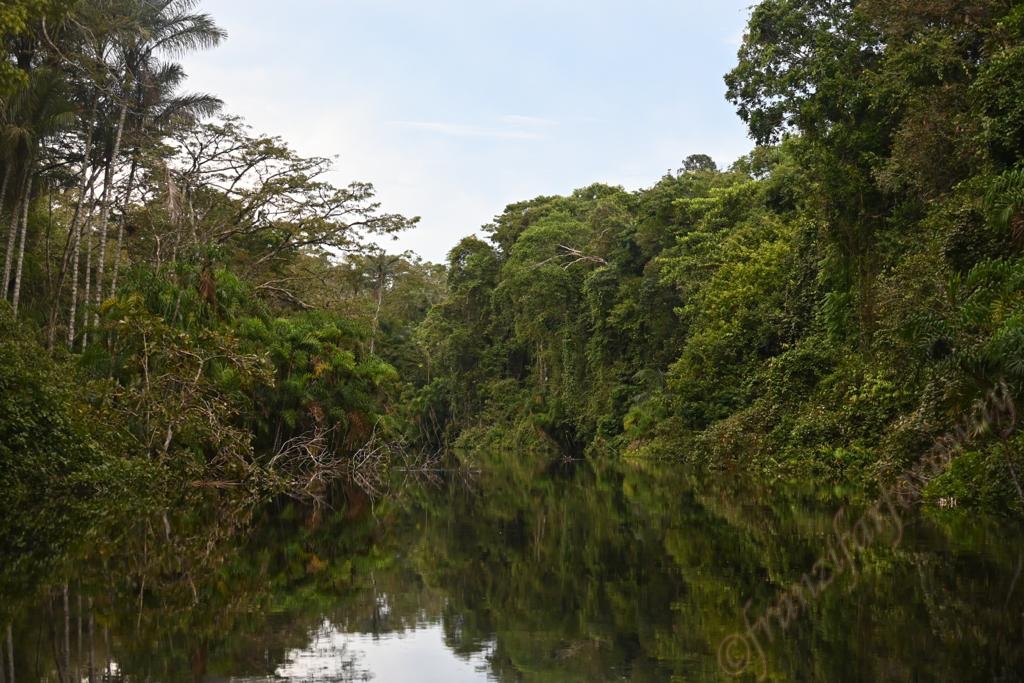 Waita Lodge - deep in the Amazon